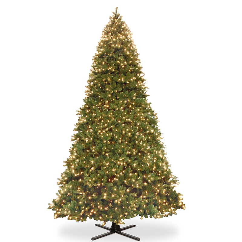 National Tree Company 16 ft. Pre-Lit Downswept Douglas Fir Artificial Christmas Tree with Color LED Lights (PEDD4-372D-160) image 1