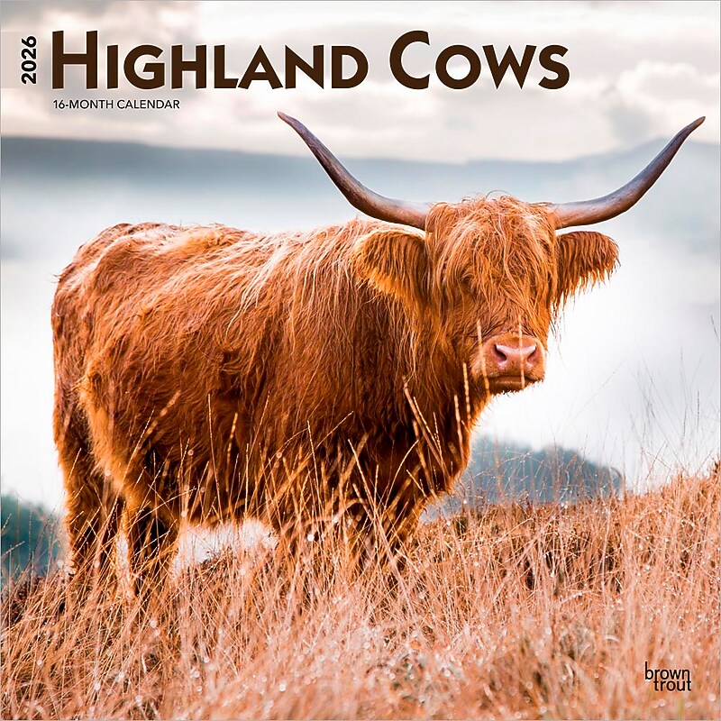 2026 BrownTrout Highland Cows 12" x 12" Monthly Wall Calendar (9798330703630) image 1