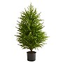 Nearly Natural Norfolk Island Pine Natural Look Artificial Tree, 40" (T1510)~#|#~4DED76DC-3CCB-4538-A8BC4FD96AA469A9_sc7