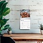 2027 BrownTrout Dachshund Puppies 7" x 7" Monthly Wall Calendar, Assorted Colors (9798330709977)~#|#~4DFF18BF-2AA7-4680-955551AFE31E6A60_sc7
