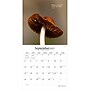 2027 BrownTrout Magic Mushrooms 12" x 12" Monthly Wall Calendar (9798330714025)~#|#~4E0657EB-1D1E-4786-BE29202E9387E15B_sc7