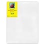 Strathmore 300 Series Primed White Stretched Canvas, 12" x 16", 2/Pack (STT31312-2)~#|#~4E0B649E-E63F-4E06-9BE5B80C7E6C8377_sc7