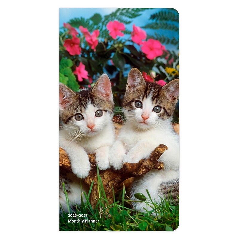 2026-2027 BrownTrout Kitten Cuddles 3.5" x 6.5" Monthly Planner (9798330704088) image 1
