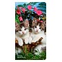 2026-2027 BrownTrout Kitten Cuddles 3.5" x 6.5" Monthly Planner (9798330704088)~#|#~4E0B8BA1-463E-40CB-8D564124765D1F4B_sc7