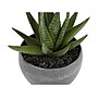 Monarch Specialties Inc. Succulents in Pots, 3/Pack (I 9587)~#|#~4E17B7CF-3B94-497E-A01C4BA79753E545_sc7