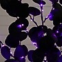 Nearly Natural Pre-Lit Artificial Halloween Black Eucalyptus Tree, 3' (T5220)~#|#~4E22DA8E-EB06-4951-A55DC1B939BB5C6F_sc7