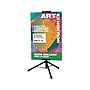Excello Global Products Blank Indoor/Outdoor Floor Sign, 13" x 86", Black (EGP-HD-0523)~#|#~4E261AAB-8952-4FBD-AF8C76604535B342_sc7
