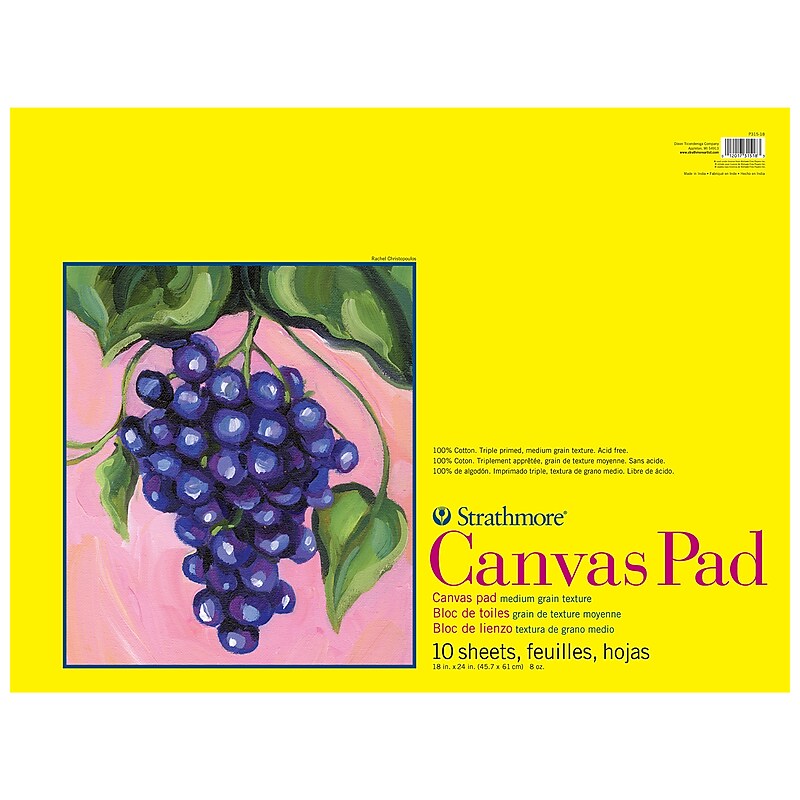 Strathmore 300 Series 18" x 24" Canvas Pad, 10 Sheets/Pad (STTP31518) image 1