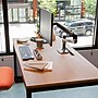 Ergotron LX Adjustable Desk Monitor Arm, Up to 34" Monitor, Polished Aluminum (45-241-026)~#|#~4E41D1C5-CCE1-4DE9-A6B6E3C625214441_sc7