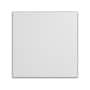 Armstrong CLEAN ROOM VL Square Lay-In Edge Ceiling Tile, 24" x 24", White, 12/Carton (BP868B)~#|#~4E4B2C2A-2192-4452-BFB06D00BD115A30_sc7
