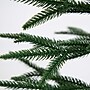Nearly Natural 5-ft Artificial Woodland Fir Christmas Tree in Decorative Planter (T4796)~#|#~4E4EB126-8649-4682-87E49A69390154FC_sc7