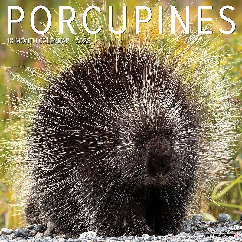 2026 Willow Creek Porcupines 12" x 12" Monthly Wall Calendar (56066) image 1