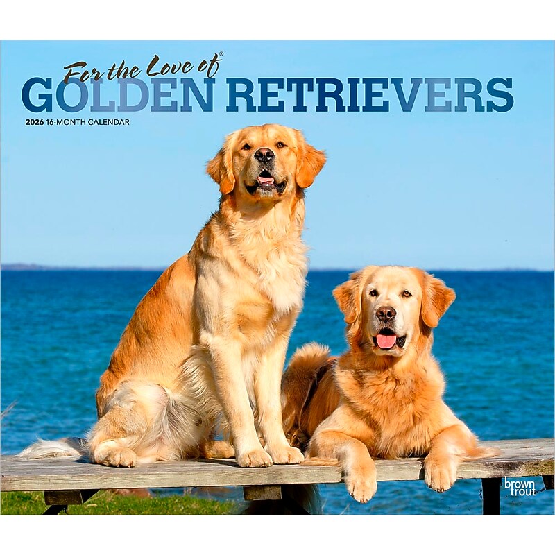 2026 BrownTrout For the Love of Golden Retrievers 14" x 12" Monthly Wall Calendar (9798330707157) image 1