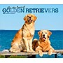 2026 BrownTrout For the Love of Golden Retrievers 14" x 12" Monthly Wall Calendar (9798330707157)~#|#~4E6E4697-644C-4B73-81E036EC7B1DC4C7_sc7