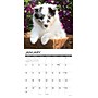 2027 Willow Creek Sheltie Puppies 12" x 12" Monthly Wall Calendar, Assorted Colors (62296)~#|#~4E711414-D825-4A28-B7960D6A1B777878_sc7