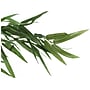 Monarch Specialties Inc. Bamboo Tree in Pot (I 9563)~#|#~4E7807EB-463E-4D09-AABCF6ED39D5930B_sc7