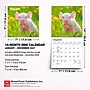 2027 BrownTrout Piglets 7" x 7" Monthly Wall Calendar (9798330709816)~#|#~4E8A0A8A-1900-4871-AEE794B4F44DB9AD_sc7