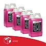 Betco Simplicity Sanibet Multi-Range Sanitizer Disinfectant Deodorizer, 67.6 oz., 4/Carton (BET2374700)~#|#~4E922C27-ED3F-4A65-84D50FEA0FC599DC_sc7