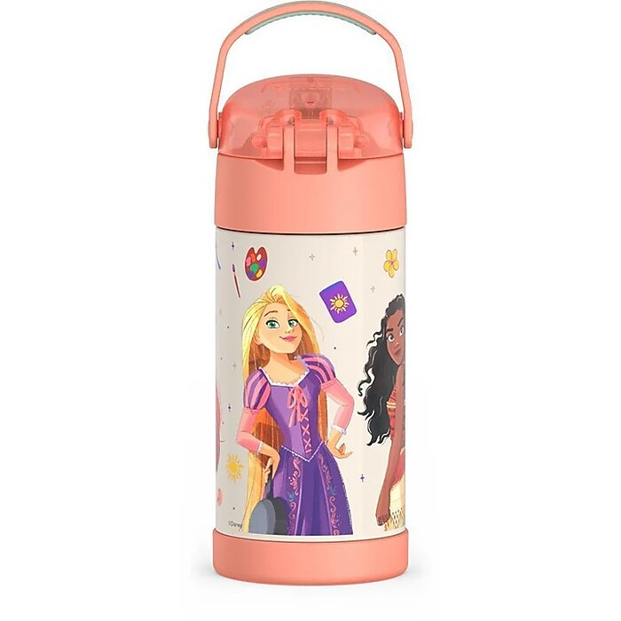 Princess Fluer☆ Thermos Funtainer Disney Princess Stainless Steel Vacuum Insulated