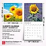 2027 BrownTrout Sunflowers 12" x 12" Monthly Wall Calendar (9798330711352)~#|#~4E9BFAFE-2121-4018-8A18582A6EA27AF7_sc7