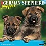 2027 Willow Creek German Shepherd Puppies 12" x 12" Monthly Wall Calendar, Assorted Colors (60360)~#|#~4EADA08D-F82C-4EC7-B6FE67D8AB92C161_sc7