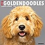 2027 Willow Creek Goldendoodles  12" x 12" Monthly Wall Calendar (60469)~#|#~4EB39D41-8EA0-4B38-A7F0EC6A06DD220F_sc7