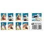 USPS A Day at the Beach Forever Stamps, 20 Postage Stamps (FOR-DAYBEACH-20)~#|#~4EBE2DAB-5A38-4622-A890E158F0394690_sc7