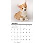 2026 Willow Creek Corgi Puppies 12" x 12" Monthly Wall Calendar (50811)~#|#~4EC6CB7E-5214-4EC4-9DF16CB0CBC80AEE_sc7