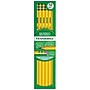Ticonderoga The World's Best Pencil Wooden Pencil, 2.2mm, #3 Hard Lead, Dozen (X13883X)~#|#~4ED6D74C-194F-4999-A6E5FF53F38CFE41_sc7
