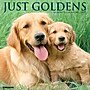 2027 Willow Creek Goldens 12" x 12" Monthly Wall Calendar (60476)~#|#~4EE347AE-8348-4832-995897756942C8FA_sc7