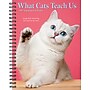 2027 Willow Creek What Cats Teach Us 6.5" x 8.5" Weekly & Monthly Desk Calendar (64443)~#|#~4EF7DEF6-8BB5-43CC-95BBF16FFE1CAB56_sc7