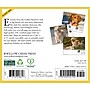 2026 Willow Creek Goldens 6.2" x 5.4" Day-to-Day Calendar (54192)~#|#~4EFDEBC3-878A-4410-A5BFF0308AD8F4AB_sc7