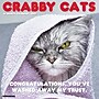 2027 Willow Creek Crabby Cats 12" x 12" Monthly Wall Calendar (65167)~#|#~4F1FFB28-E7C0-4774-9D0758C2C943B91C_sc7
