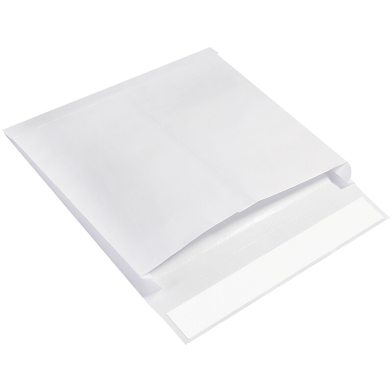 Ship-Lite Self Seal Catalog Envelope 12" x 16", White, 100/Carton (SLE12162WS) image 1