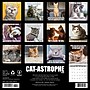 2026 Willow Creek Cat-astrophe 12" x 12" Monthly Wall Calendar (50606X)~#|#~4F32823D-8D2D-4AC1-8EAA1859737E8ACB_sc7