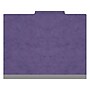 Medical Arts Press Pressboard Classification Folder, 2-Dividers, 2" Expansion, Letter Size, Purple, 10/Box (DV-T42-26-3PRP-PKT)~#|#~4F5B480C-B05F-4C0F-8D63A7C35CF97377_sc7