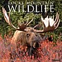2027 Willow Creek Multi 12" x 12" Monthly Wall Calendar, Reversible, Assorted Colors (62067)~#|#~4F707CD3-836B-4479-A676DD6A31974CA7_sc7