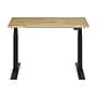 FlexiSpot E7COMMERCIAL 48''W Electric Height Adjustable Standing Desk, Rubberwood/Black(E7BCOM4824-RW)~#|#~4F7BFD93-8ABD-494D-8D106EDBA82E9ACB_sc7