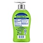 Softsoap Antibacterial Liquid Hand Soap, Sparkling Pear Scent, 6/Carton (US07326ACT)~#|#~4F892D38-4E2A-40CD-B0A8A28DAD2AD9AA_sc7