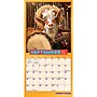 2027 BrownTrout Avanti Funny Farm 7" x 7" Monthly Wall Calendar, Assorted Colors (9798330712977)~#|#~4F98BA12-8C8B-4BEC-B68A962C5B1D8AC0_sc7
