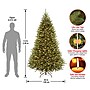 National Tree Company Kingswood Fir Artificial Christmas Tree (KW7-D53-75)~#|#~4F9B7FFD-B6B4-4530-89F7A035DD051DF5_sc7
