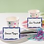Avery Adhesive Sticker Name Tag Labels, White/Blue, 100 Name Badges/Pack (13971/5144)~#|#~4FC0327D-DCE2-465A-8B22C7EE1A48D89E_sc7