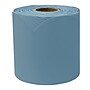 Carson Dellosa Education Rolled Scalloped Bulletin Board Border, 3" x 65', Stone Blue, 3/Bundle (CD-108535-3)~#|#~4FC74718-304D-4403-9B22BB2ECAFDCDAF_sc7