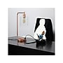 Lalia Home Studio Loft Incandescent Desk Lamp, 18.8", Polished Rose Gold (LHD-2002-RG)~#|#~4FE6BAC3-971D-4E30-BA3786FDA847F7D0_sc7
