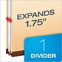 Pendaflex Classification Folder, 1-Dividers, 1 3/4" Expansion, Letter Size, Manila, 10/Box (23700P)~#|#~4FEF4B10-457C-4796-A17EFB016360C59F_sc7