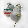 National Tree Company 24 Piece HGTV Home Collection Nostalgic Traditions Ornaments (AH63-NT24220111)~#|#~4FF234E5-D42A-4F7C-BE7756E6D68D294B_sc7