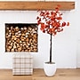 Nearly Natural 5' Autumn Rustic Maple Artificial Fall Tree (T4821)~#|#~4FFCA28B-65E7-4E1A-A2D6BC9C13C5745F_sc7