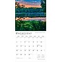 2026 BrownTrout South Carolina Wild & Scenic 12" x 12" Monthly Wall Calendar (9798330705658)~#|#~4FFE4E56-7C7B-4AA3-85B664166DD287DC_sc7