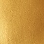 Liquitex BASICS Acrylic Paint Tube, Gold, 250 mL (LIQ4385051)~#|#~5001CCFA-5F12-4026-ABAAA5FF62F3D3DD_sc7