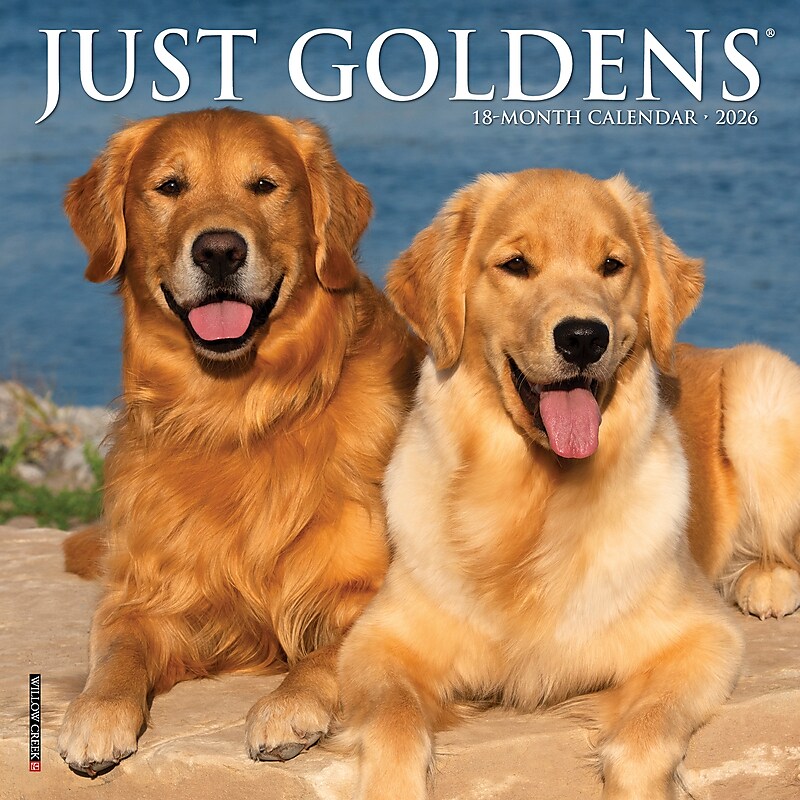 2026 Willow Creek Just Goldens 7" x 7" Monthly Wall Calendar (53607) image 1